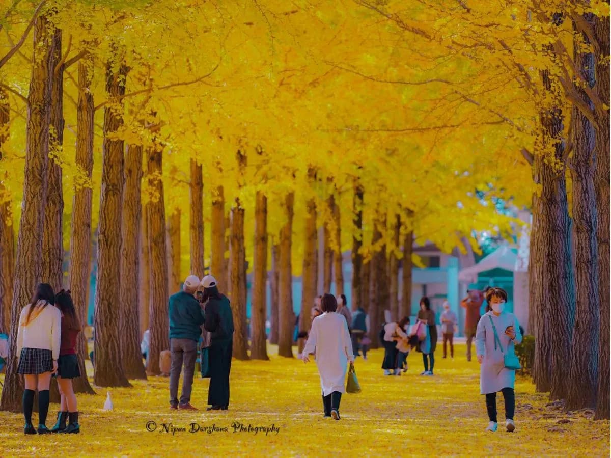 JAPAN