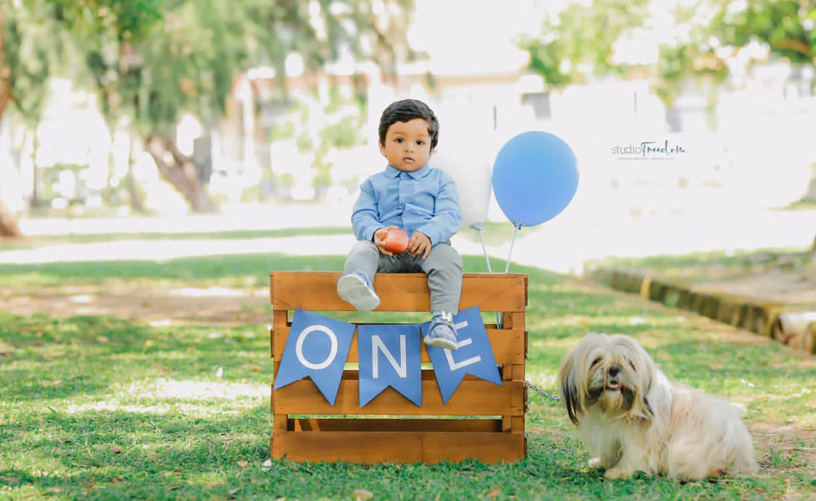 INOJA 1st Birthday